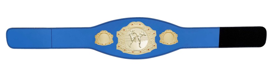 GOLD CHAMPIONSHIP BELT - XXLMIDI/G/THAIBOXG - AVAILABLE IN 4 LEATHER COLOURS GOLD CHAMPIONSHIP BELT - XXLMIDI/G/THAIBOXG - AVAILABLE IN 4 LEATHER COLOURS